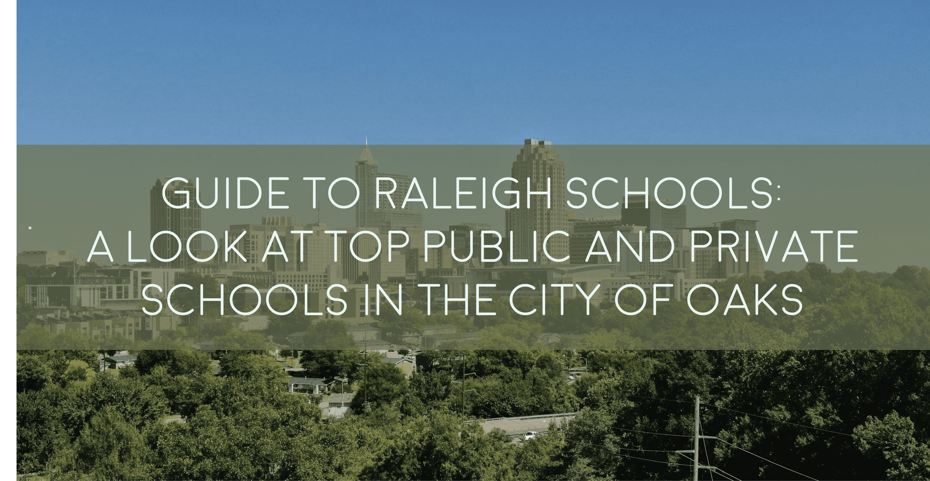 Raleigh School Landscape